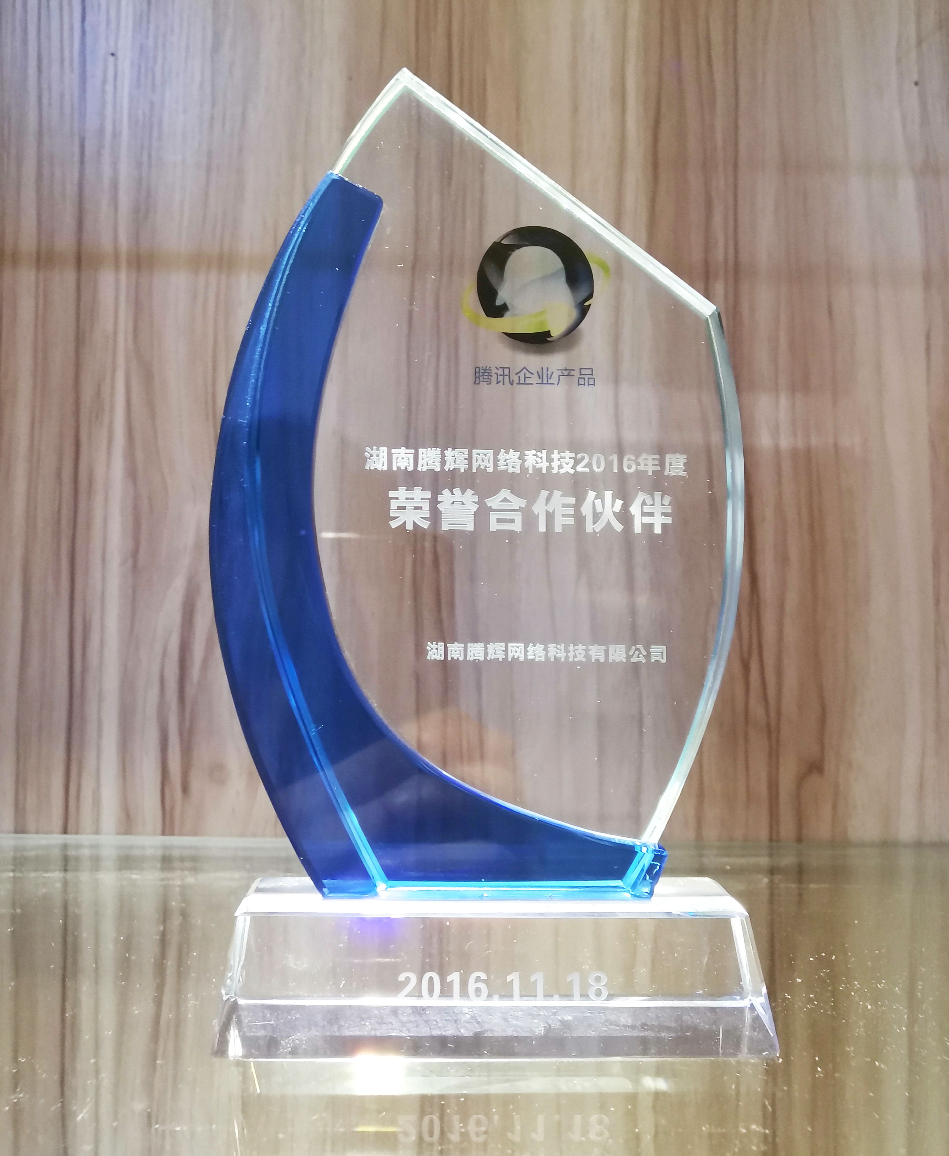 湖南騰輝網絡科技2016年度榮譽合作伙伴